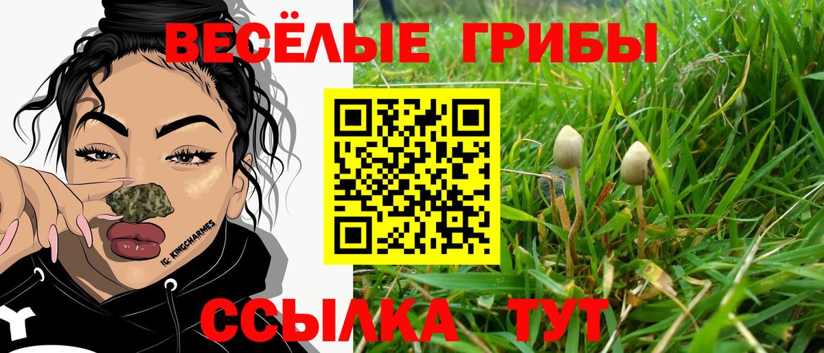 Псилоцибиновые грибы ЛСД Киров