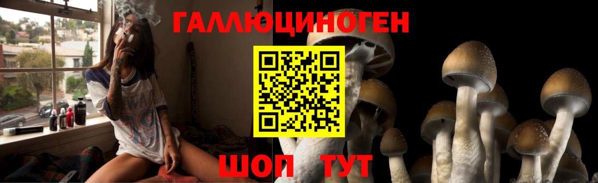 Киров  Галлюциногенные грибы MAGIC MUSHROOMS  Вход с VPN 